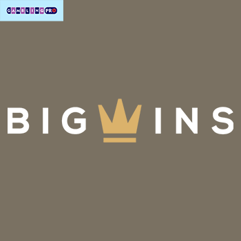 BigWins Gambling Establishment: Gamer Ratings & Our Judgment